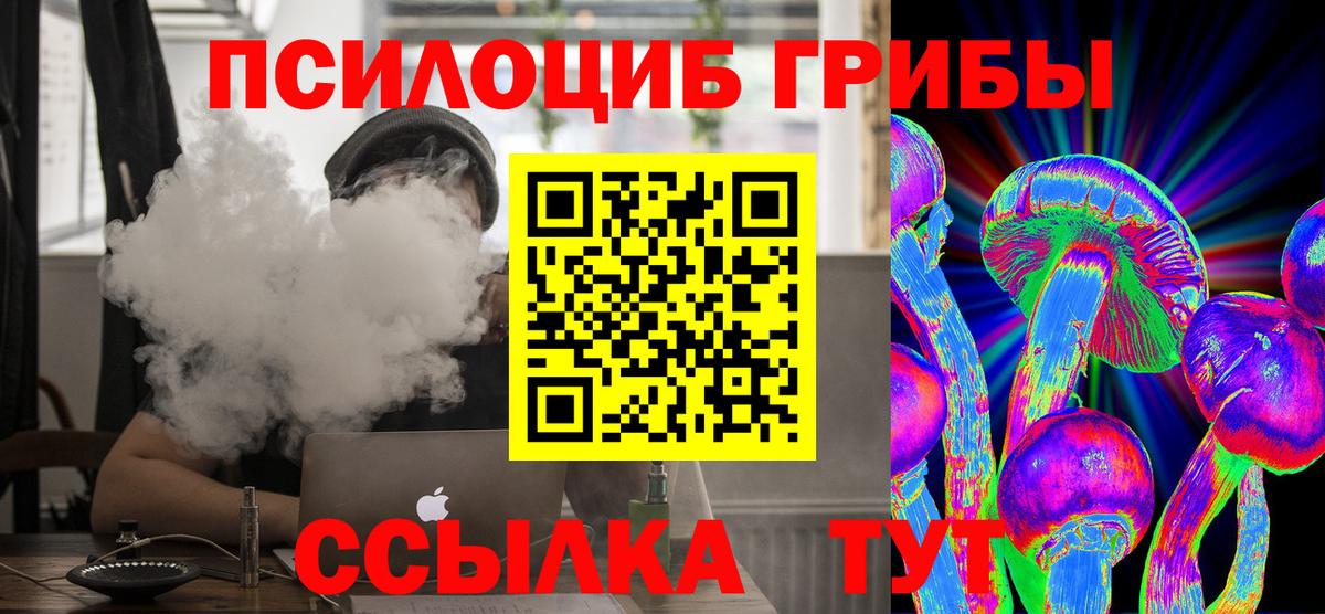 Красноармейск  Псилоцибиновые грибы Magic Shrooms  Вход с VPN  Псилоцибиновые грибы мицелий 
