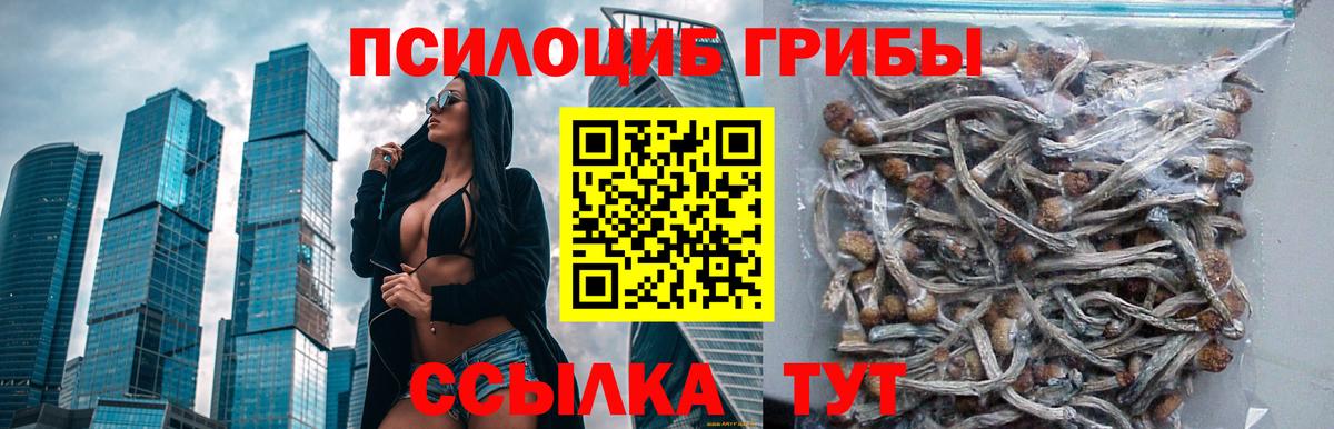 Псилоцибиновые грибы ЛСД Красноармейск